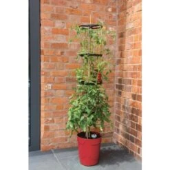 Tomatentoren Met Bewateringssysteem - 150 Cm 11 Tomatentoren Met Bewateringssysteem - 150 Cm -Planten Winkel klimplantentoren met bewateringssysteem 1519074088 1 600
