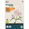 Koekruid Pink Beauty BIO - Saponaria Vaccaria -Planten Winkel koekruid pink beauty bio saponaria vaccaria 1646840382 1500 600