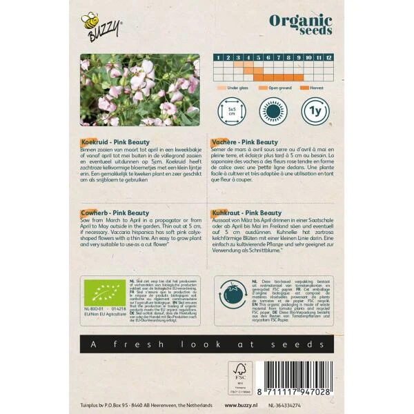 Koekruid Pink Beauty BIO - Saponaria Vaccaria 4 Koekruid Pink Beauty BIO - Saponaria Vaccaria - Afbeelding 2