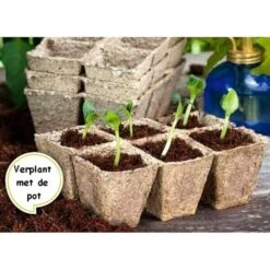 Vezelpotjes Vierkant Biologisch Afbreekbaar - 6 × 6 Cm - Set Van 24 Stuks -Planten Winkel kokos potjes vierkant 6 cm 1519297688 1 600
