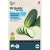 Komkommer Marketmore BIO 1 Komkommer Marketmore BIO -Planten Winkel komkommer marketmore bio 1646840367 1205 600