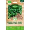 Koriander BIO -Planten Winkel koriander bio 1646839541 198 600