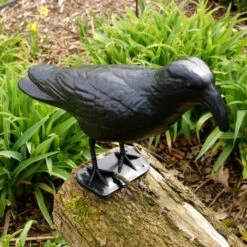 Duivenverjager Kraai Roepend -Planten Winkel kraai met geluid 1523289337 3 600