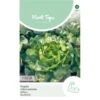 Kropsla Mafalda - Lactuca Sativa -Planten Winkel kropsla mafalda lactuca sativa 1646840349 808 600