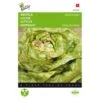 Kropsla Meikoningin - Lactuca Sativa -Planten Winkel kropsla meikoningin lactuca sativa 1646840318 167 600