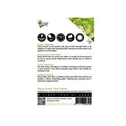 Kropsla Meikoningin - Lactuca Sativa -Planten Winkel kropsla meikoningin lactuca sativa 1646840318 168 600