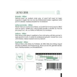 Kropsla Milan - Lactuca Sativa -Planten Winkel kropsla milan lactuca sativa 1646840349 817 600