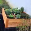Houten Kruidenbak (vierkant) -Planten Winkel kruidenbak 87 x 87 x 23 cm 1555569498 1 600