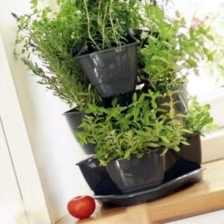 Kruidentoren Antraciet - Ø30 Cm × 38 Cm -Planten Winkel kruidentoren antraciet 30 cm x 38 cm 1484062082 2 600