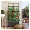 Kweekbak City Jungle Basic Met Klimframe -Planten Winkel kweekbak city jungle basic 1677572656 1 600