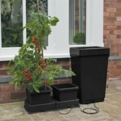 Kweeksysteem Met Automatische Bewatering