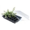 Kweekset 24 Cellen -Planten Winkel kweekset 24 cellen 1497862095 1 600