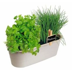 Kweekset Bieslook En Bladkoriander -Planten Winkel kweekset bieslook en bladkoriander 1646840379 1459 600