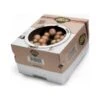 Kweekset 7,5 Liter Bruine Champignons -Planten Winkel kweekset bruine champignons 1484067274 1 600
