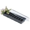 Kweekset Vensterbank - 20 Cellen -Planten Winkel kweekset vensterbank 20 cellen 1497861090 1 600
