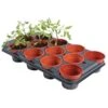 Tray Met 12 Ronde Potten Van 11 Cm -Planten Winkel kweektray 12 potjes 11 cm 1484055981 1 600