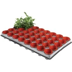 Tray Met 40 Kweekpotjes 6 Cm -Planten Winkel kweektray 40 potjes 6 cm 1599819541 1 600