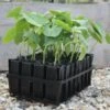 Kweektray Deep Roots - 32 Cellen -Planten Winkel kweektray deep roots 32 cellen 1487673472 0 600