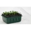 Kweektray Compact Rapid Root - 20 Cellen -Planten Winkel kweektray rapid root 20 cellen 1487670094 0 600
