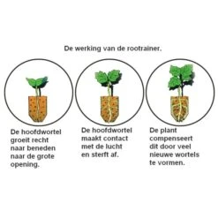 Kweektray Rapid Roots - 32 Cellen -Planten Winkel kweektray rapid roots 32 cellen 1487680788 0 600