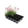Kweektrays 15 Cellen - Professioneel - Set Van 5 Stuks 1 Kweektrays 15 Cellen - Professioneel - Set Van 5 Stuks -Planten Winkel kweektrays 15 cellen professioneel 1497948812 1 600