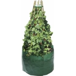 Kweekzak Bonen En Erwten