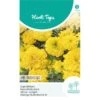 Lage Afrikaan Moonlight - Tagetes Erecta Nana -Planten Winkel lage afrikaan moonlight tagetes erecta nana 1646840365 1165 600