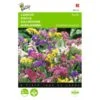 Lamsoor - Statice Sinuata Pacific -Planten Winkel lamsoor statice sinuata pacific 1646840331 433 600