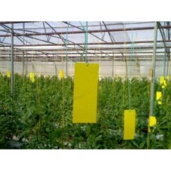 Lijmvangplaten - Set Van 5 Stuks -Planten Winkel lijmvangplaten 1484052917 3 600