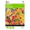 Maskerbloem Queens Price - Mimulus Luteus Tigrinus -Planten Winkel maskerbloem queens price mimulus luteus tigrinus 1646840329 409 600
