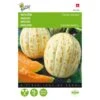 Meloenen Oranje Ananas - Cucumis Melo -Planten Winkel meloenen oranje ananas cucumis melo 1646840317 123 600