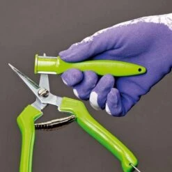 Messenslijper Steen En Staal -Planten Winkel messenslijper steen en staal 1484061310 2 600