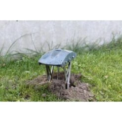 Mollenklem - Innovatief En Robuust -Planten Winkel mollenklem mollenijzer 1484062617 4 600