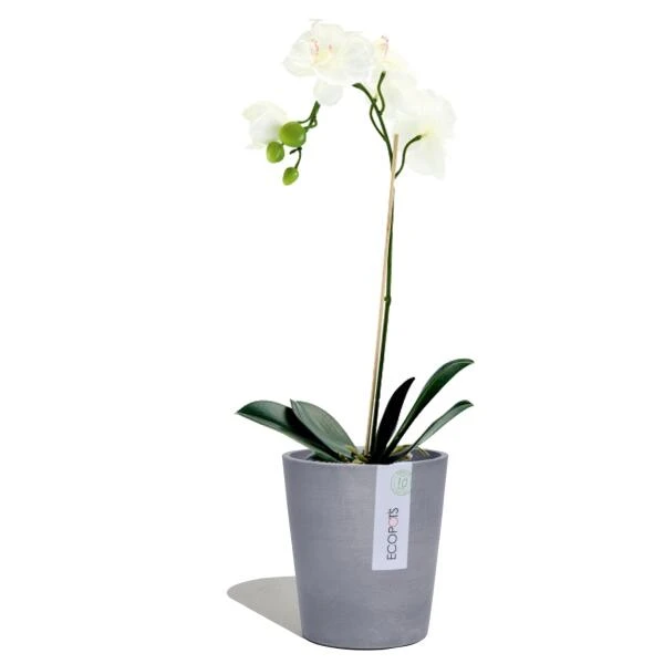 ECOPOTS Morinda Orchideeënpot - Blauwgrijs Ø 14 Cm 4 ECOPOTS Morinda Orchideeënpot - Blauwgrijs Ø 14 Cm - Afbeelding 2
