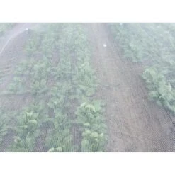 Insectengaas / Klimaatdoek 2 M × 10 M