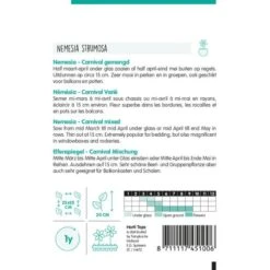 Nemesia Carnaval -Planten Winkel nemesia carnaval 1646840363 1125 600