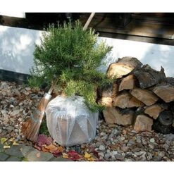 Noppenfolie Op Rol - 50 × 500 Cm