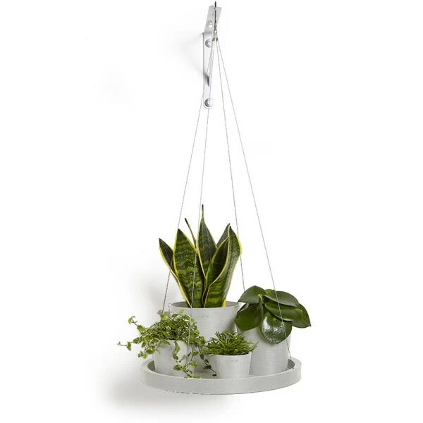 ECOPOTS Onderschotel Hangend - Witgrijs Ø 36 Cm 4 ECOPOTS Onderschotel Hangend - Witgrijs Ø 36 Cm - Afbeelding 2