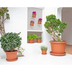 Onderschotel Rond 65 Cm - Terracotta 5 Onderschotel Rond 65 Cm - Terracotta -Planten Winkel onderschotel rond 65cm terracotta 1610706463 1 600