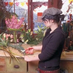 Oogstschaar Felco 300 - Bloemen En Vruchten -Planten Winkel oogstschaar felco 300 bloemen en vruchten 1517236835 1 600