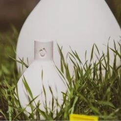 Ost-OYA Waterkruik Voor Sierpotten In Klei - Small 500 Ml 7 Ost-OYA Waterkruik Voor Sierpotten In Klei - Small 500 Ml -Planten Winkel ostoya waterkruik 500 ml 1626082336 1 600