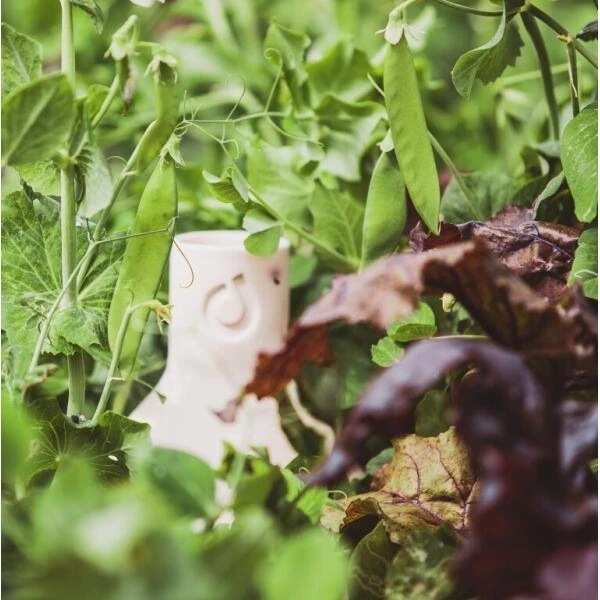 Ost-OYA Waterkruik Voor Sierpotten In Klei - Small 500 Ml 4 Ost-OYA Waterkruik Voor Sierpotten In Klei - Small 500 Ml - Afbeelding 2