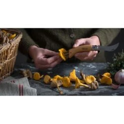 Paddenstoelenmes - OPINEL N°8 -Planten Winkel paddenstoelenmes opinel n8 1546936746 1 600