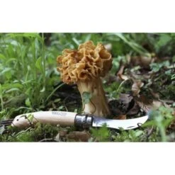 Paddenstoelenmes - OPINEL N°8 -Planten Winkel paddenstoelenmes opinel n8 1546937648 1 600