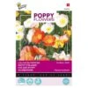 Papaver IJslandse (Poppies) -Planten Winkel papaver ijslandse poppies 1646840318 169 600