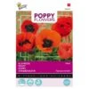 Papaver Oriëntaalse (Poppies) -Planten Winkel papaver orintaalse poppies 1646840341 659 600