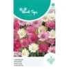 Papierbloem - Xeranthemum Annuum -Planten Winkel papierbloem xeranthemum annuum 1646840350 826 600