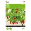 Peper Biquinho - Capsicum Chinense -Planten Winkel peper biquinho capsicum chinense 1646840383 1526 600