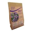 Phacelia Groenbemester 500 G - 400 M²