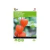 Physalis Alkekengi (oranje Lampionnetjes) 1 Physalis Alkekengi (oranje Lampionnetjes) -Planten Winkel physalis alkekengi oranje lampionnetjes 1646840337 557 600